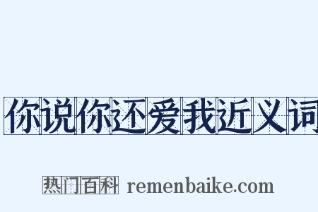 你说你还爱我近义词是什么意思的图片